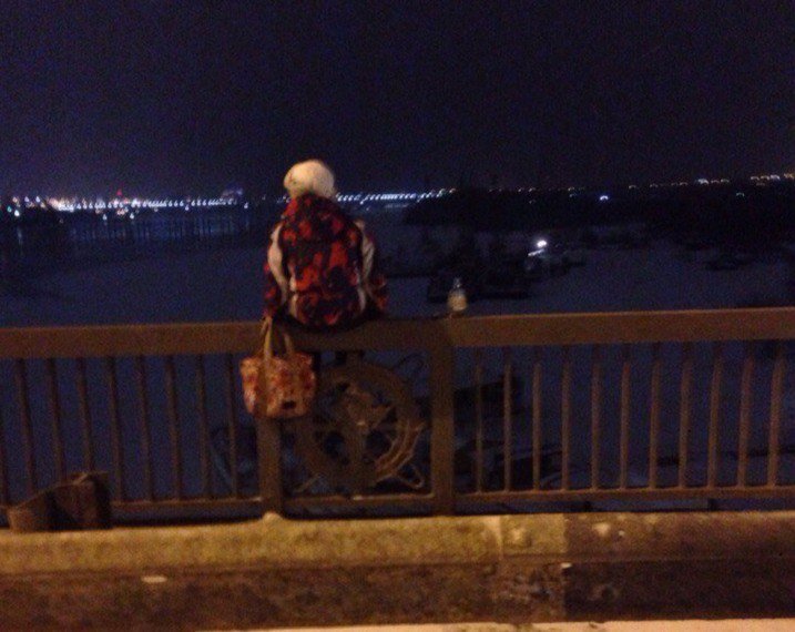 Девушку уберегли от прыжка с Димитровского моста